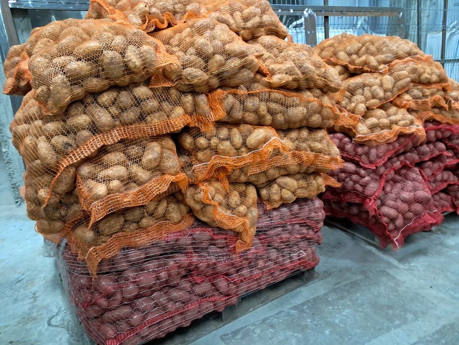 Vând peleți și brichete