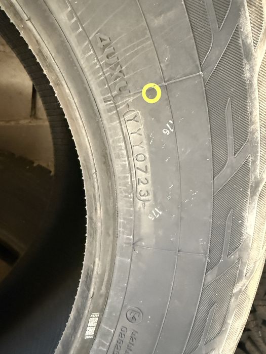 Продам резину шипованую