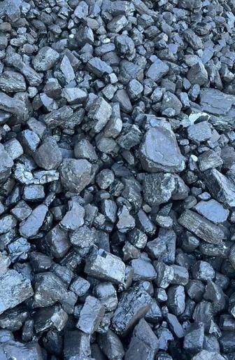 Уголь всех видов и фракций Доставка по Караганде