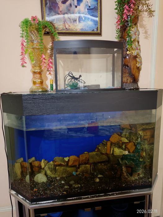 Аквариумы 3 штуки