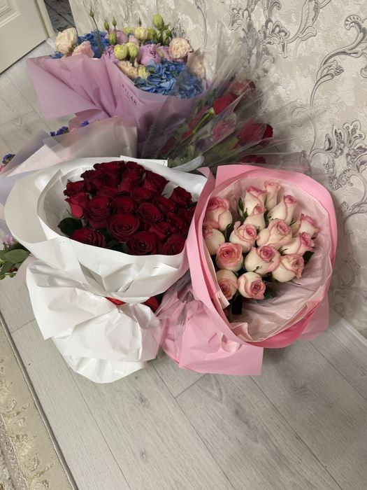Гул бүгін келген арзан баға