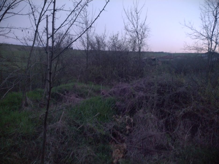 Продава се Парцел в с. Разделна, Област Варна - 1100 кв.м за 10 €/кв.м - Снимка #5