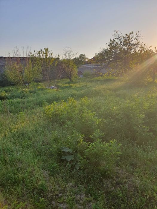 Продам дачу на Шубарсу,торг