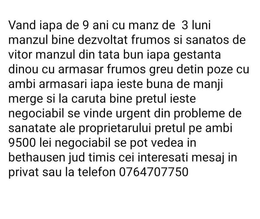De vanzare iapa si manz