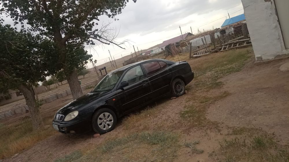 Прлдам Дэу леганза