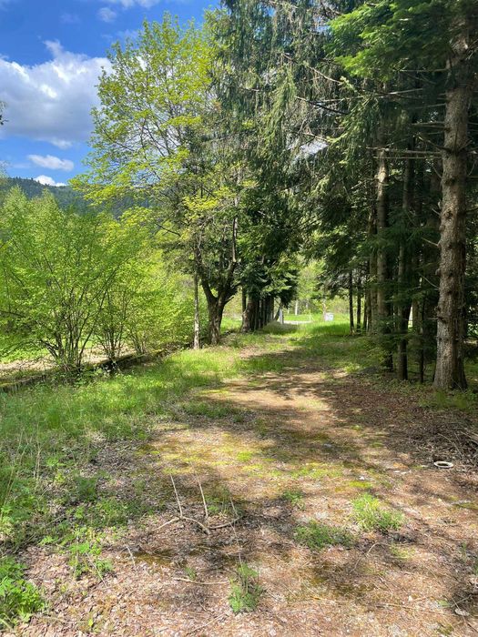 Продава се Парцел в Копривщица - 5551 кв.м за 55 €/кв.м - Снимка #14