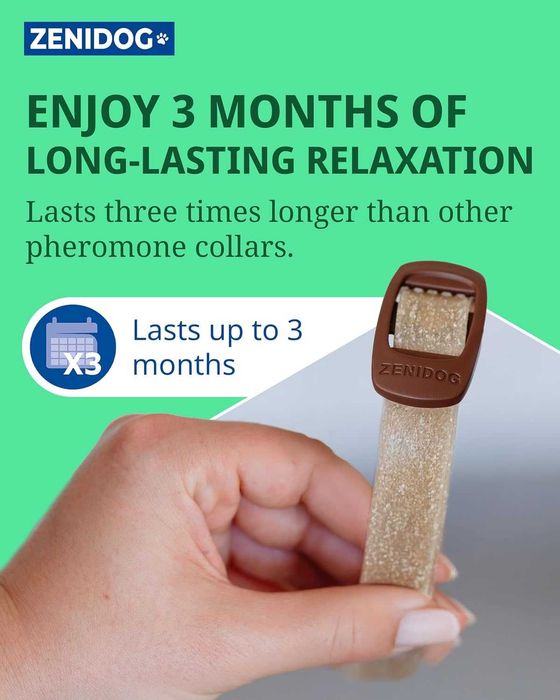 Нашийник Zenidog, Успокояващи феромони, за кучета между 10 кг - 50 кг
