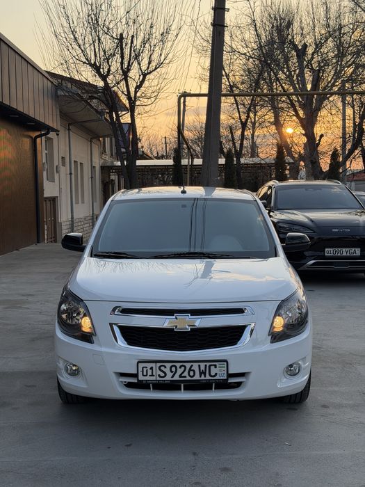 Arenda/Vikup Cobalt 2025 Midnight