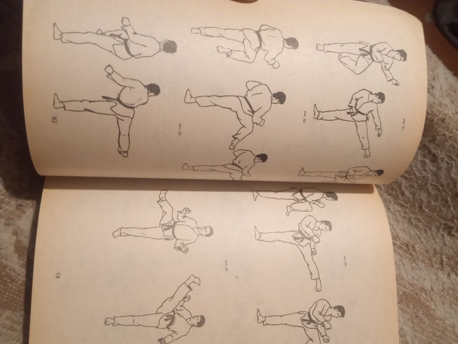 Основы таэквон-до