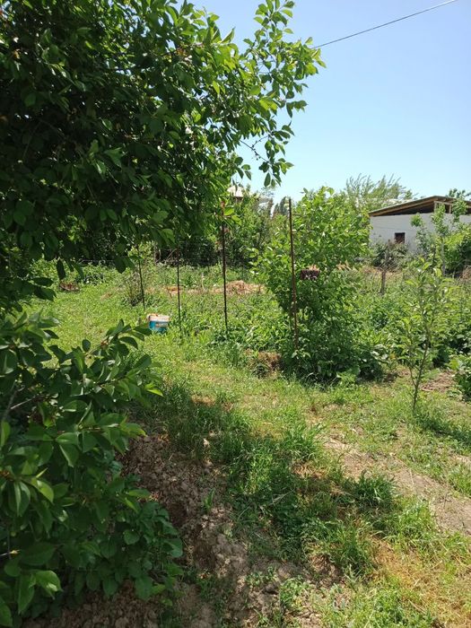 Продается Земляной Участок!