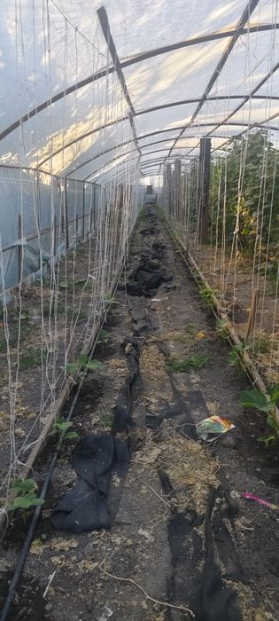 Продам Участок 10 соток