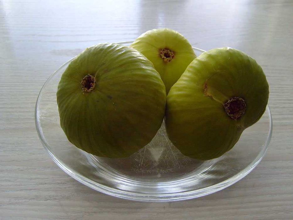 Семейно щастие,Смокини,Цезалпиния-Жълта райска птица.