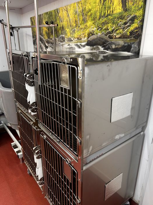 Cusca internare caini pisici din inox