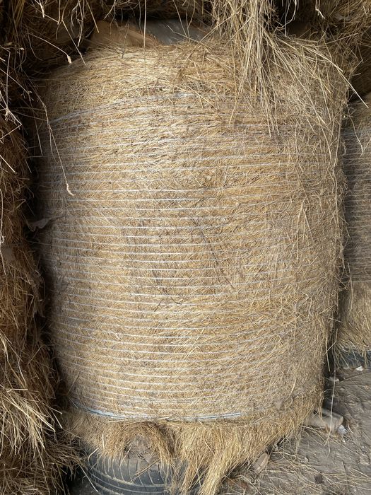 Vând baloti de fân.