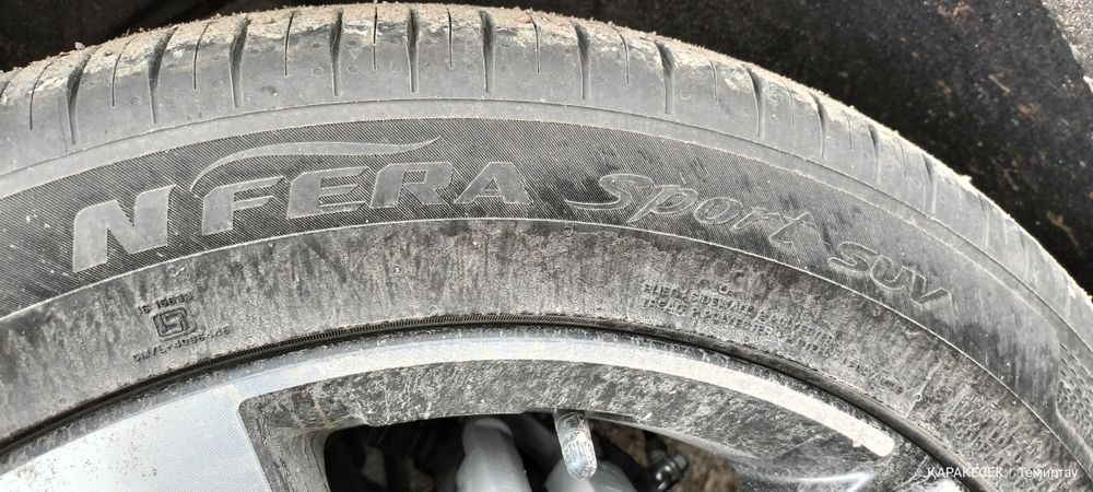 Шины летние NEXEN