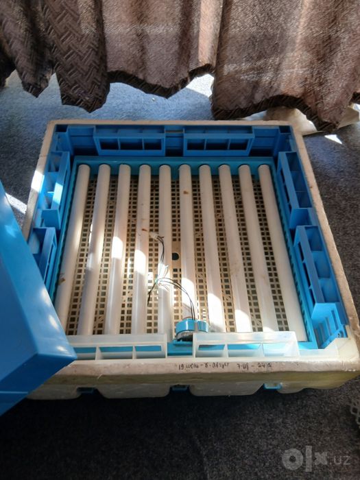 Inkubator sotiladi yaxshi ishlidi 64 tali