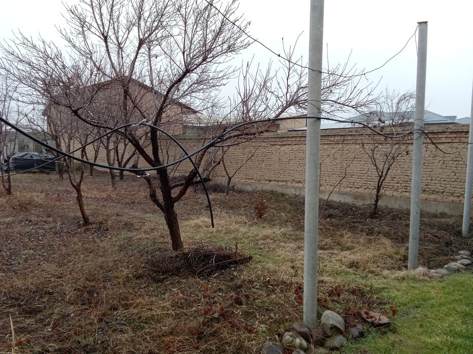 Барданкуль да 8 сот. ер