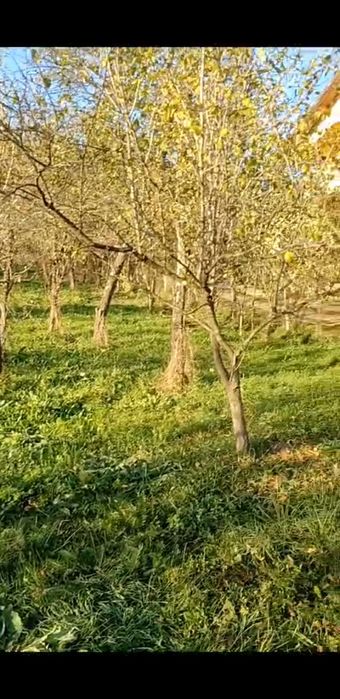 Super oferta valabila doar luna aceasta.Teren de vanzare Calimanesti