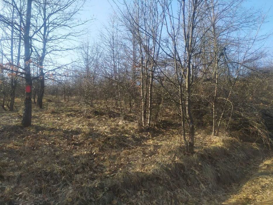 Продава се Земеделски имот в с. Войнежа, Област Велико Търново -  кв.м за 738 €/дка - Снимка #5