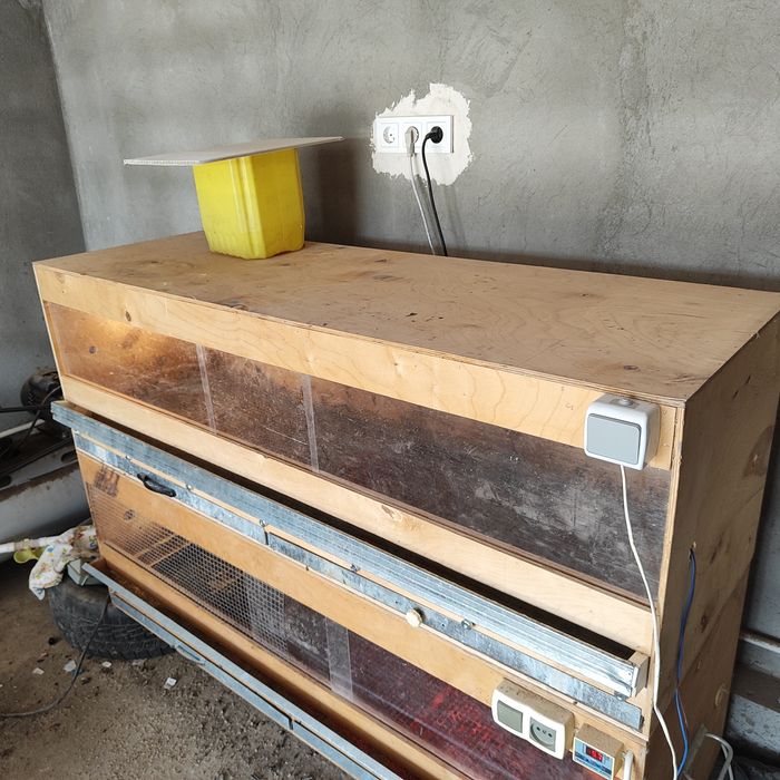 Брудер для цыплят