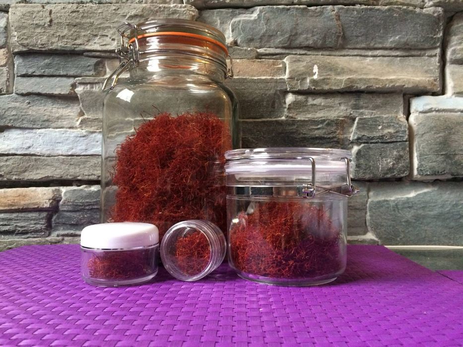 Български шафран BLS