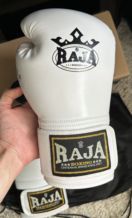 Боксерские перчатки RAJA