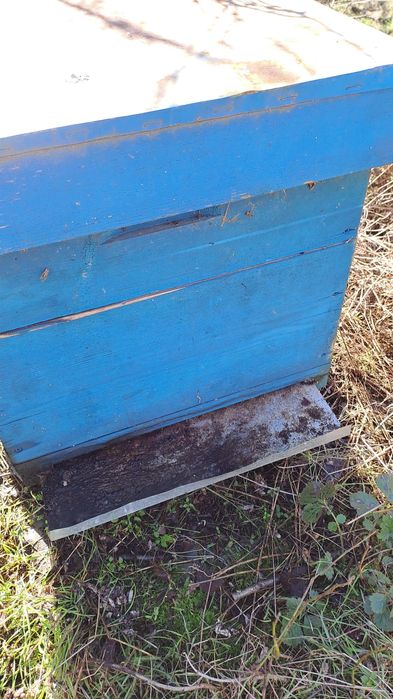 100 de lei cutie stup vertical cu fund antivarroa  și centrifuga inox 4 rame manuala 1000 lei
