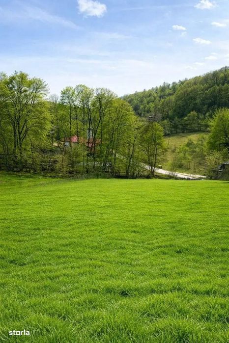 Teren De Vanzare 1.688 Mp| Sultanu | Visinesti | Dealurile Sultanului