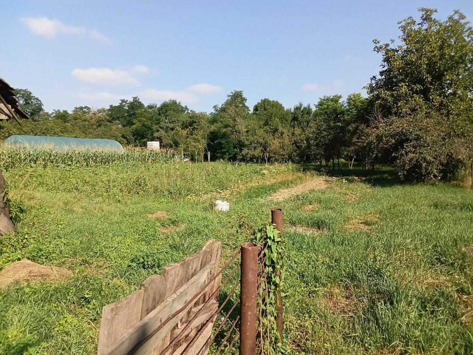 Casa de vanzare cu curte,gradina 2500mp