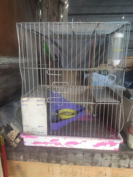 Клетка для птиц или хорька