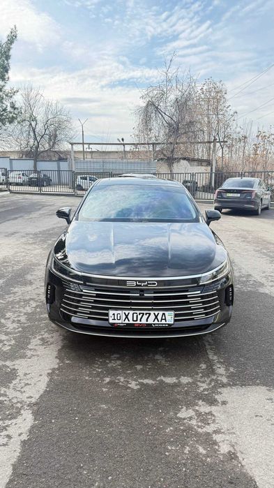 BYD CHAZOR 3 позиция 120 талик