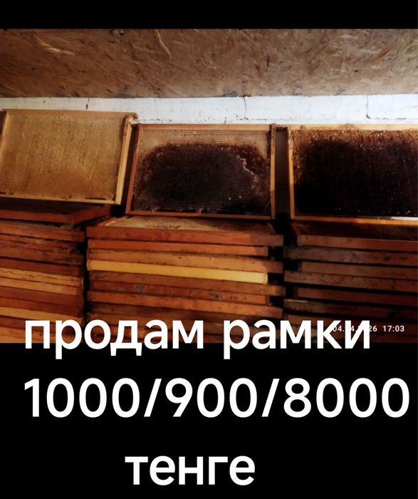 Продам пчелорамки и вошину