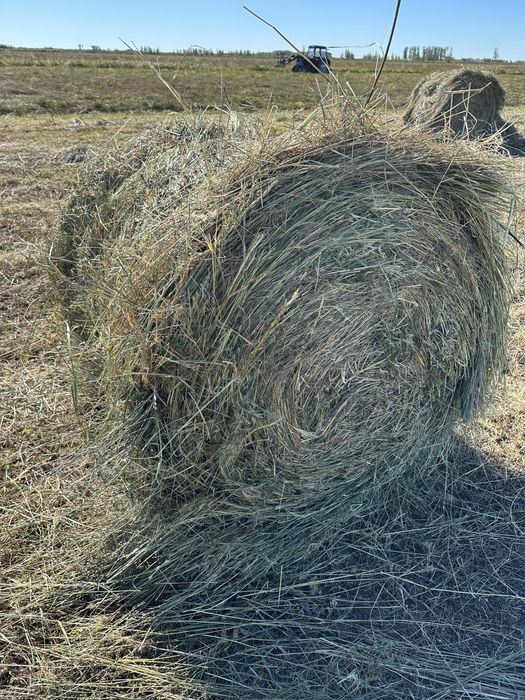 Продам сено луговое в рулоннах