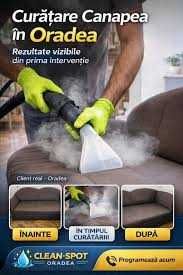 Curățare și Spălare Tapițerie în Oradea – Auto & Canapele Saltele Detailing Interior Clean Spot Igienizare la Domiciliu