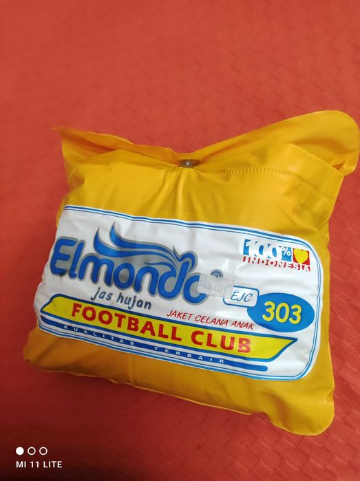 Дождевик, защита от дождя