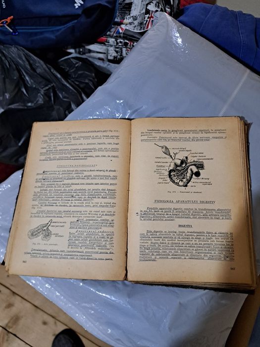 Anatomia si fiziologia omului