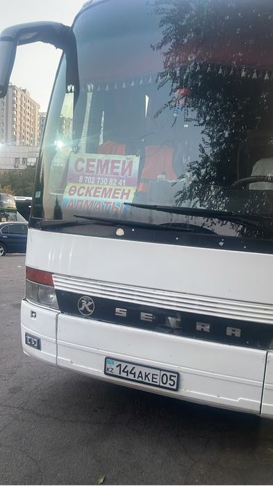 Ветровики мухабойка