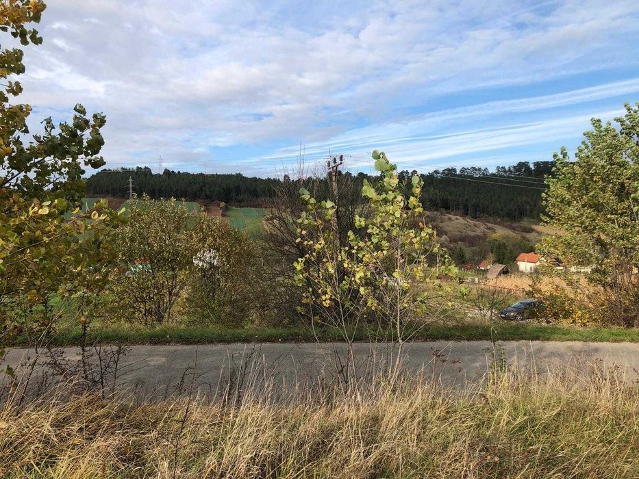 Teren pentru casa, Savadisla, 25 km de la Cluj - 1200 mp