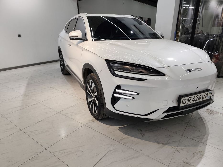 BYD. Чинпийон. 2023 ТОКДА