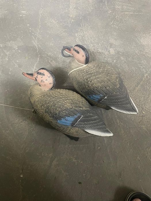 Подсадные утки для охоты