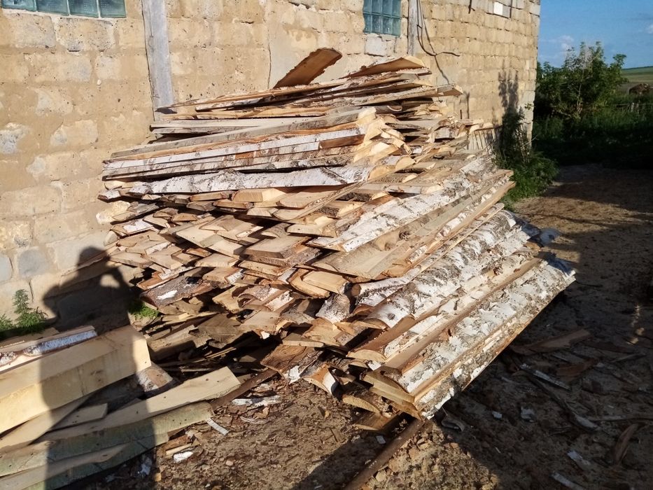 Береза не обрезные 3 метровые