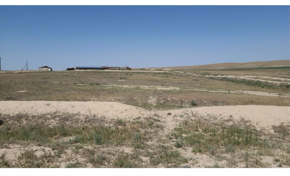 Фазенда крестянское хозяйство кашар