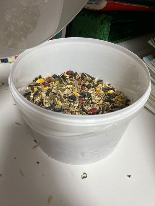 Хомяки девочки (2),вместе с клеткой и кормом