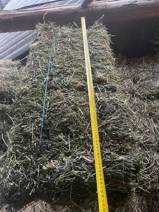 Baloti lucerna calitatea 1