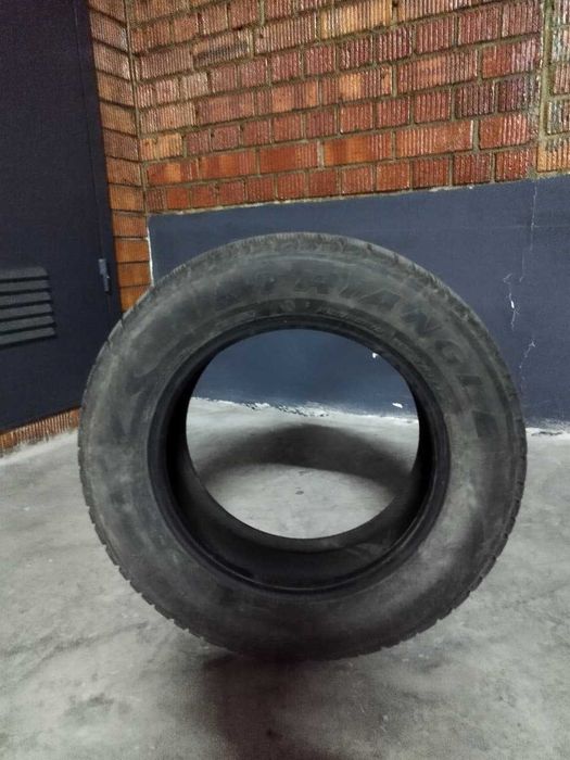 Зимние шины Triangle