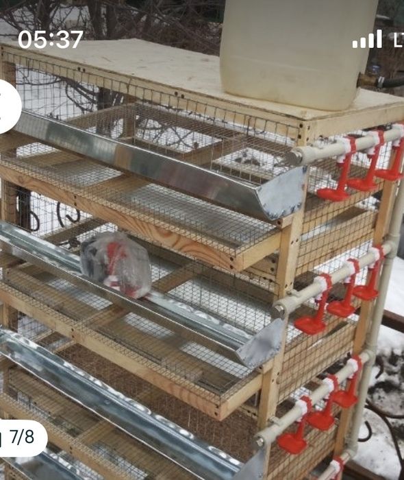 Сетка для курей трехярусная