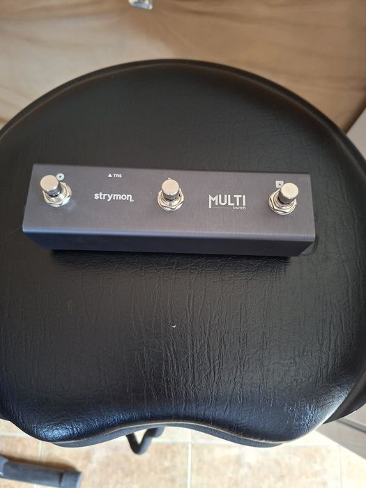 Strymon Timeline delay