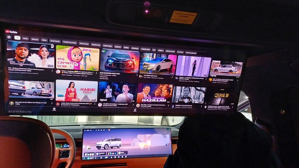 Link & Co, русификация, программа, приложения, сим-карта