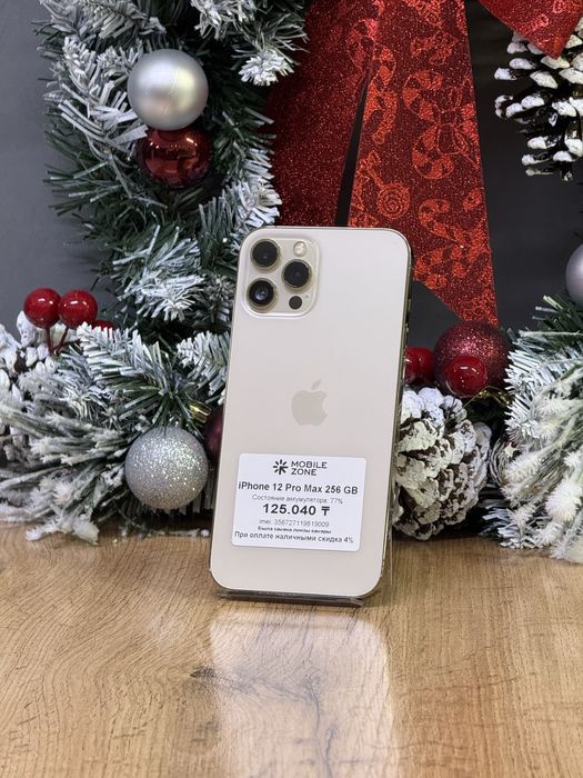 iPhone 12 Pro Max 256 GB | Mobile Zone