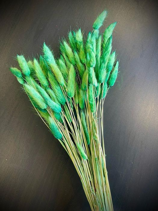 Сухи цветя за аранжиране